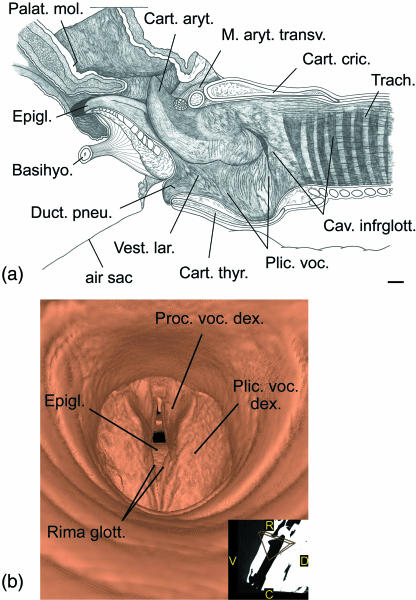 Fig 8