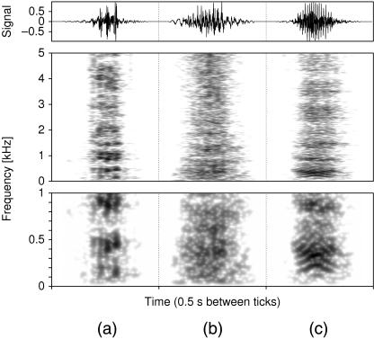 Fig 10