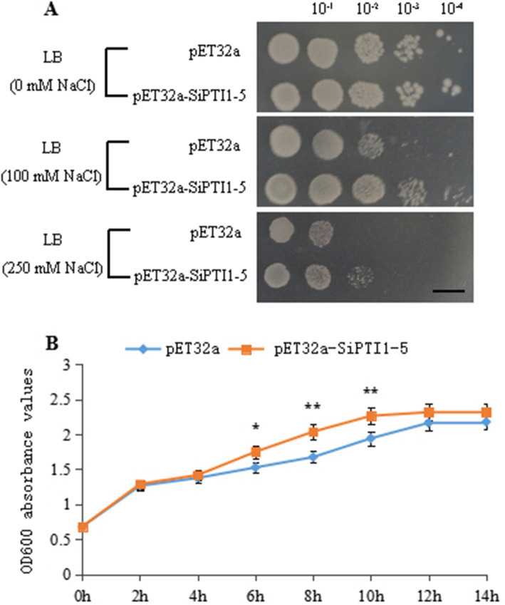 Fig. 12