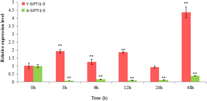 Fig. 10