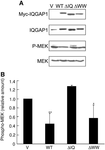 FIG. 7.