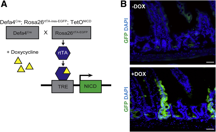 Figure 6