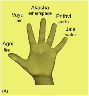 Fig. 1