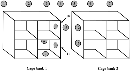 Figure 3.