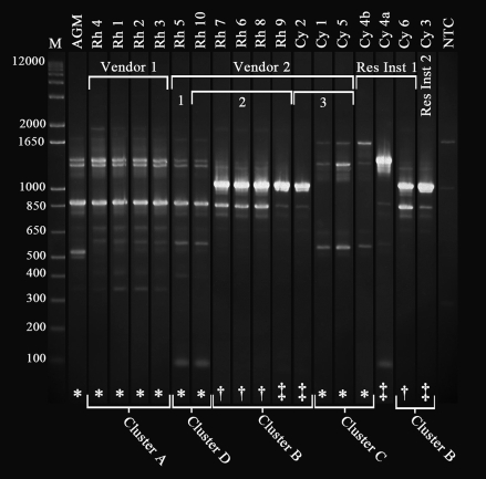 Figure 5.