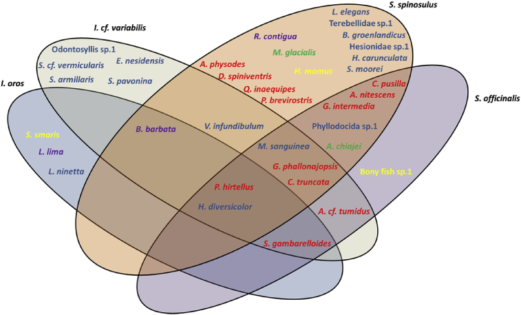 Fig. 4