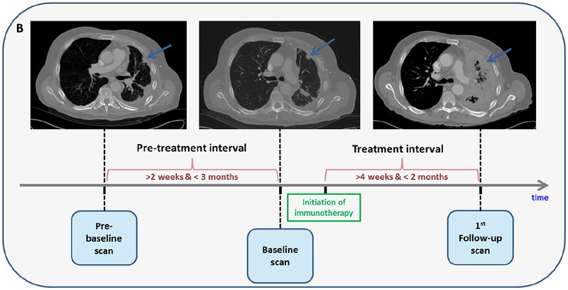 Fig 1C.