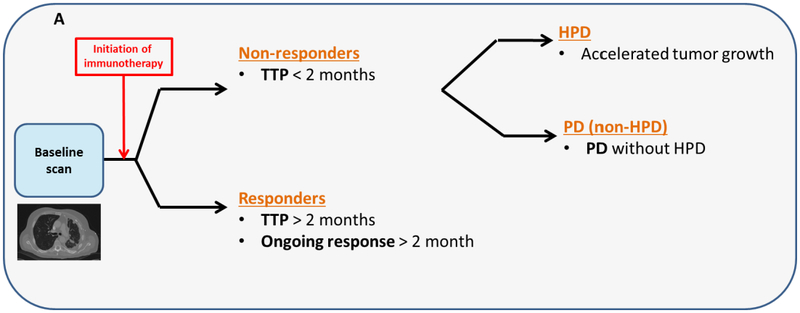 Fig 1B.