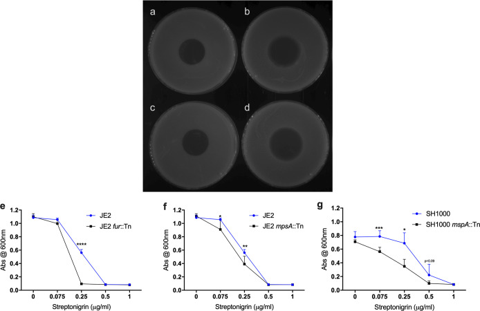 FIG 4