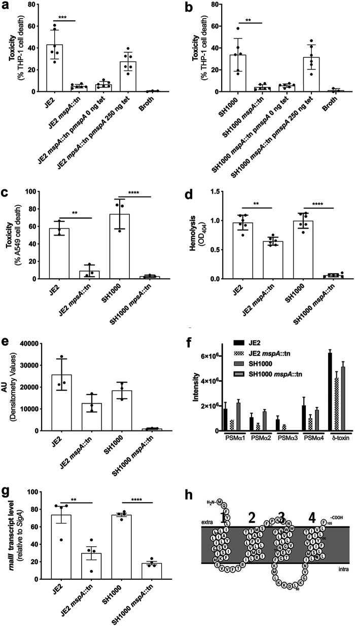 FIG 1