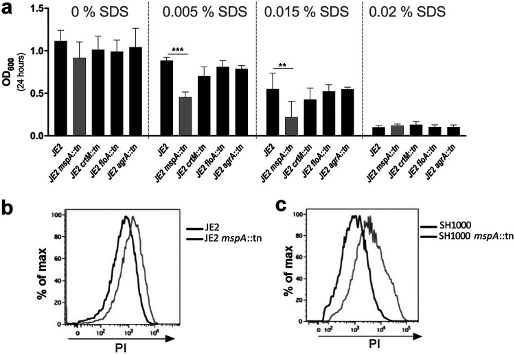 FIG 3