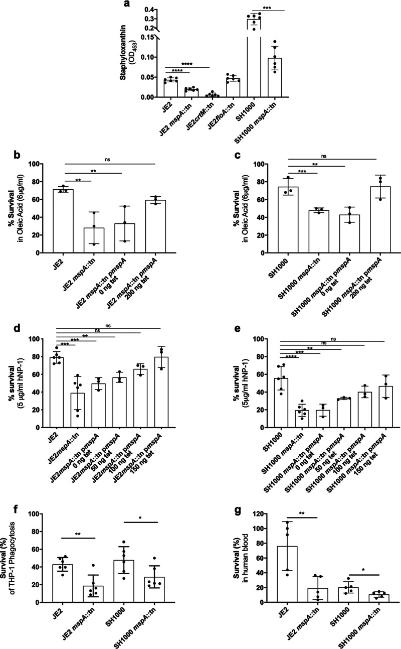 FIG 2