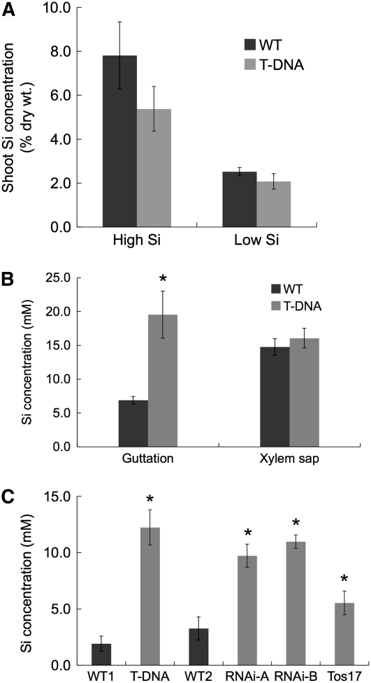 Figure 5.