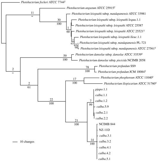 FIG. 2.