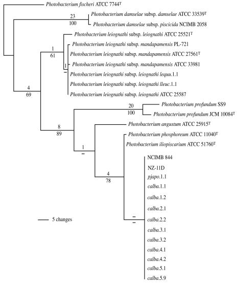 FIG. 1.