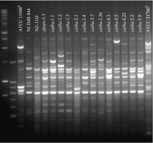 FIG. 4.