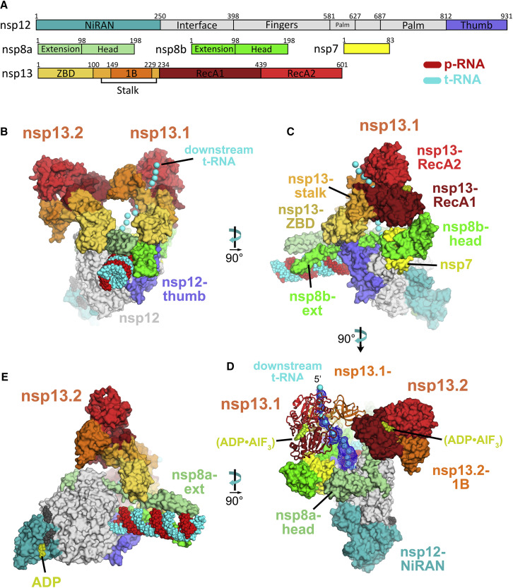 Figure 2