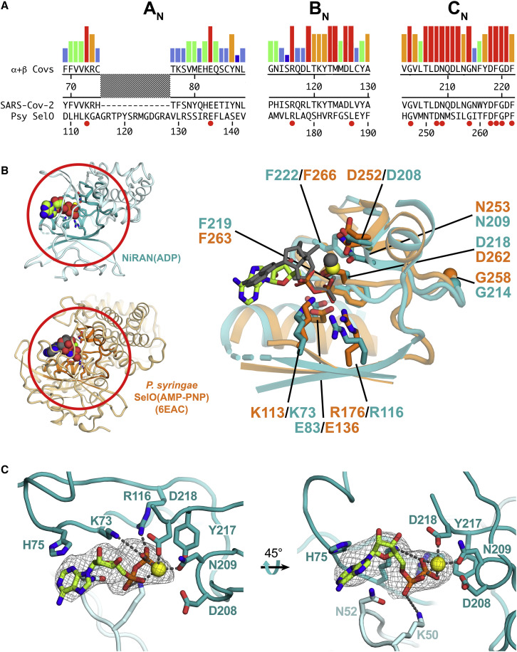 Figure 4