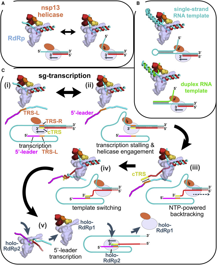 Figure 6