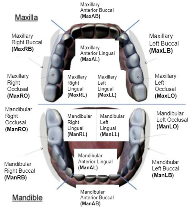 Fig 1