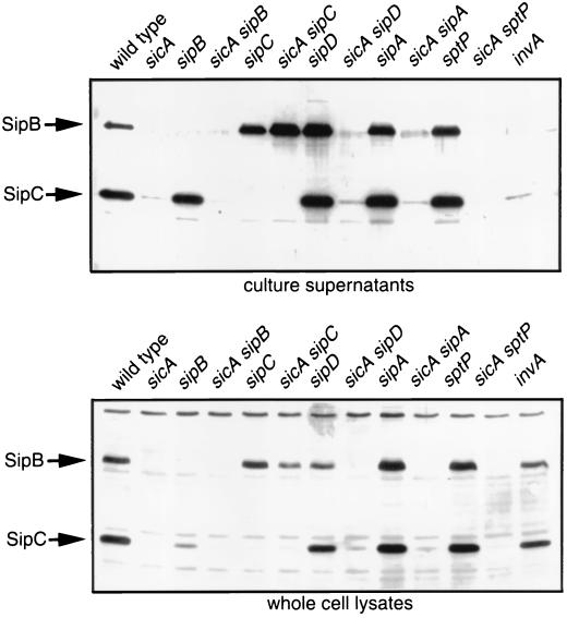 FIG. 6