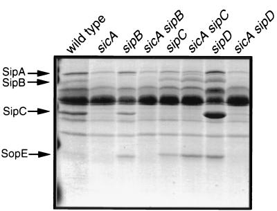 FIG. 7