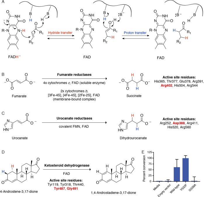 Figure 5—figure supplement 4.