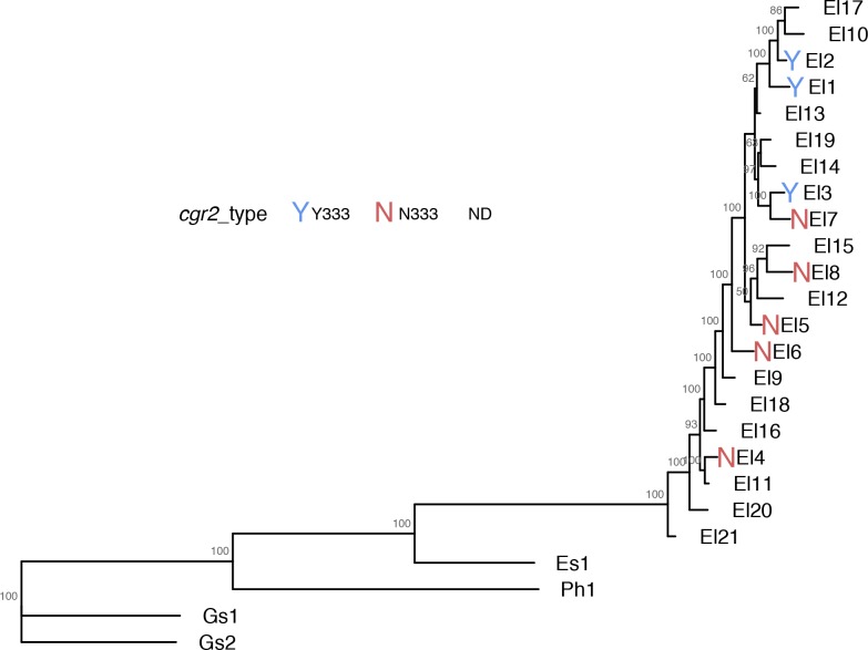 Figure 3—figure supplement 1.