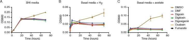 Figure 4—figure supplement 2.