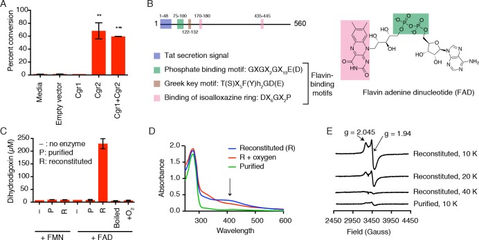 Figure 2.