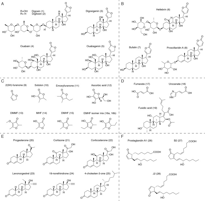 Figure 4—figure supplement 1.