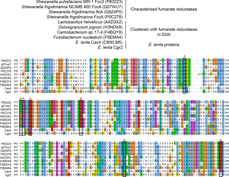 Figure 5—figure supplement 1.