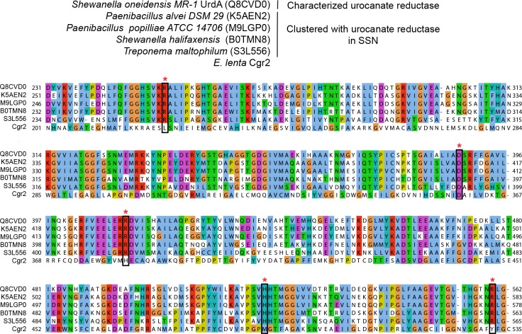 Figure 5—figure supplement 2.