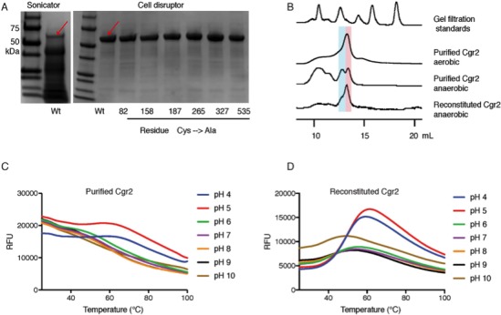 Figure 2—figure supplement 1.