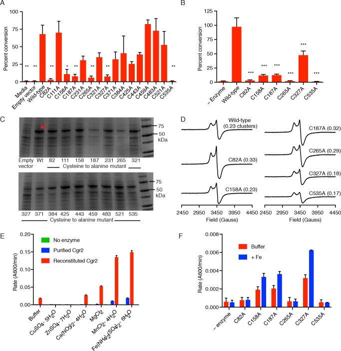 Figure 2—figure supplement 3.