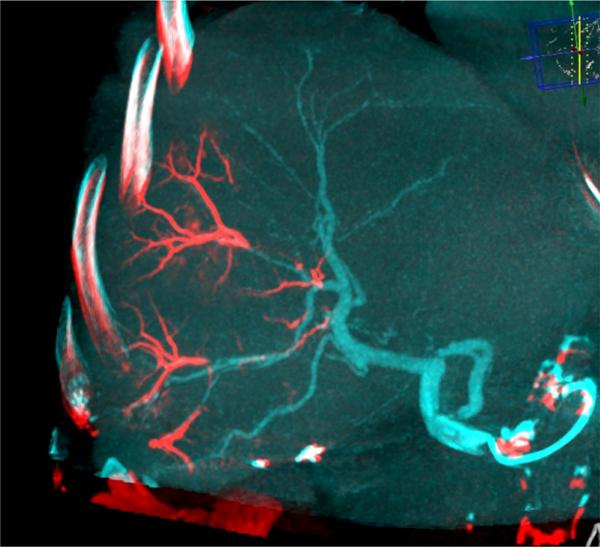 Fig. 4