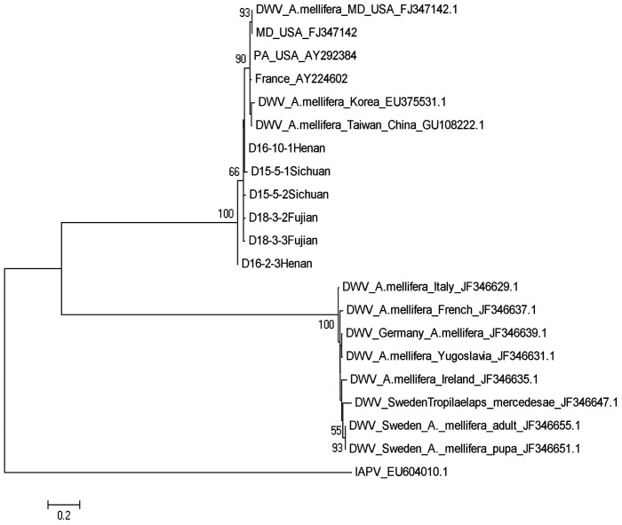 Figure 5