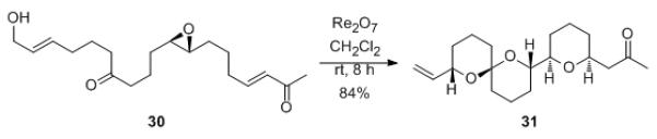 Scheme 7