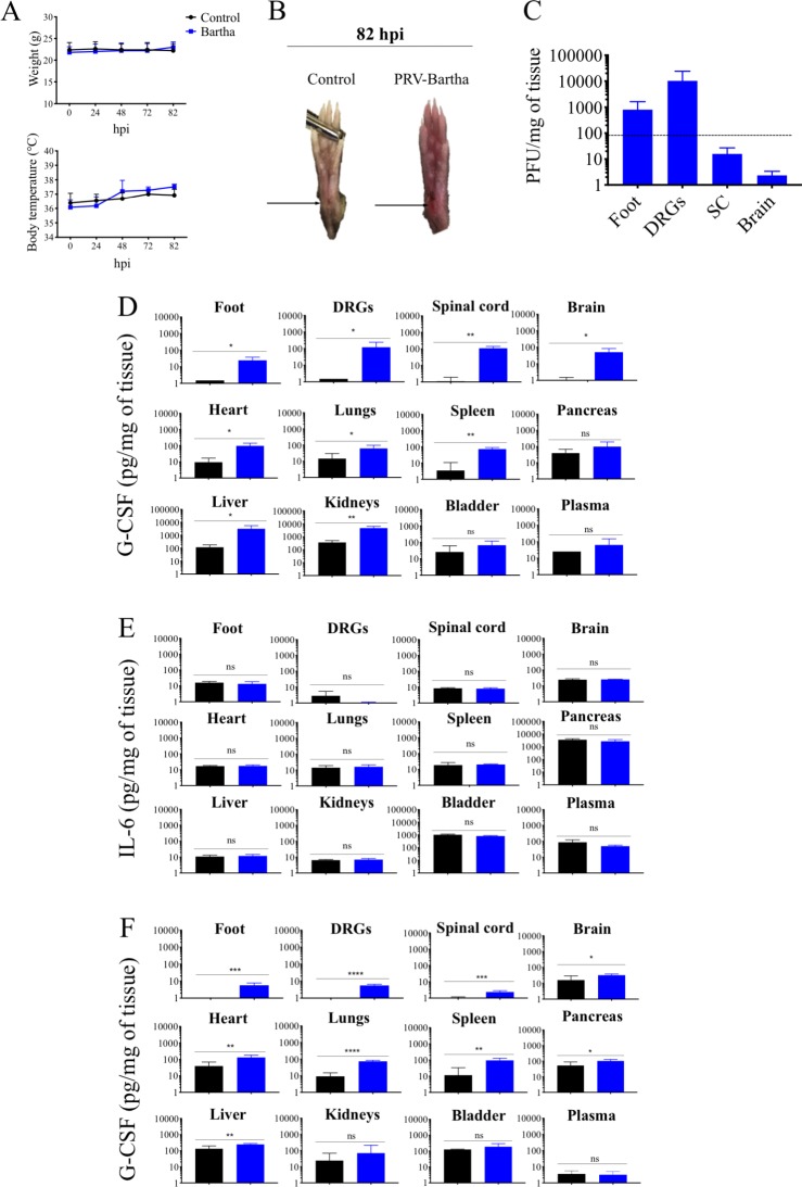 Fig 6