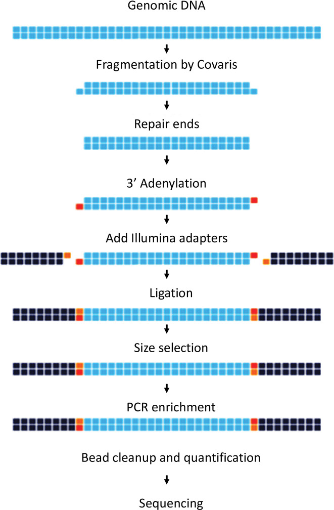 Fig 11