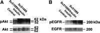 Fig. 9.