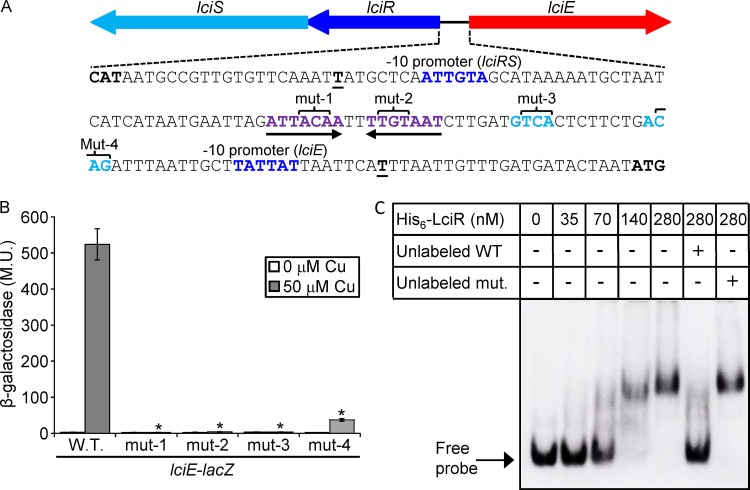 FIG 4