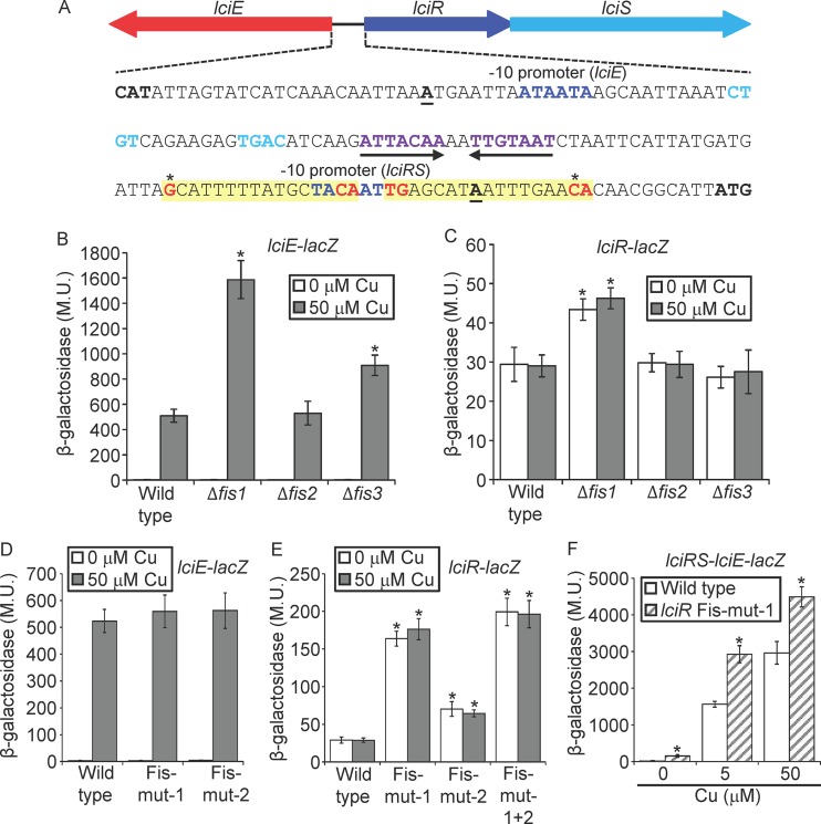 FIG 6