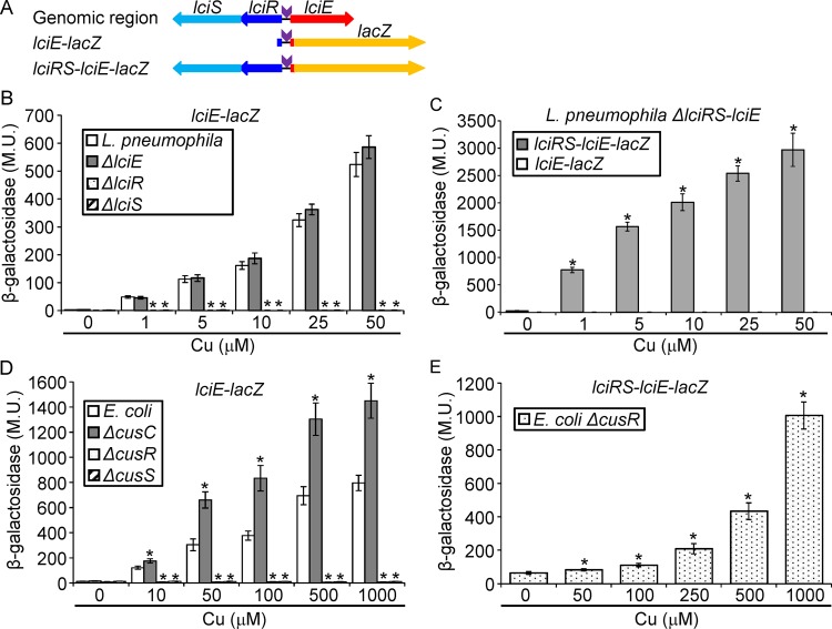 FIG 3