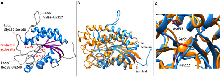 FIGURE 9