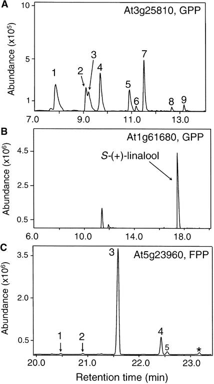 Figure 5.