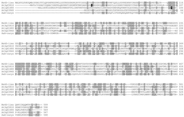 Figure 4.