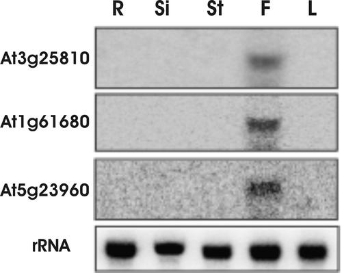 Figure 3.