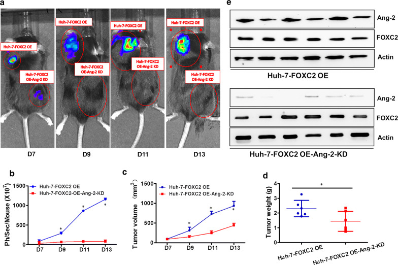 Fig. 6