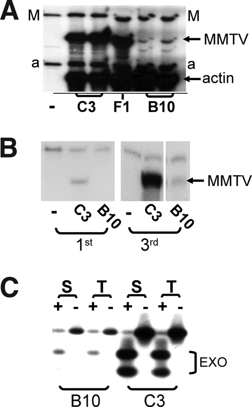 FIG. 1.